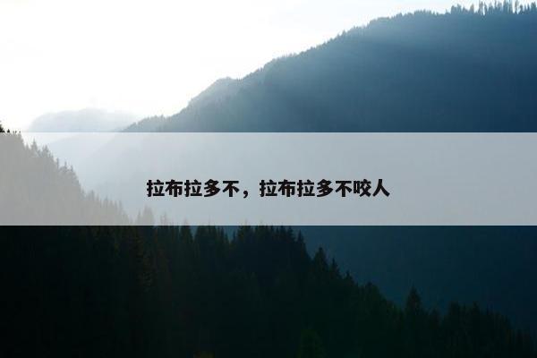 拉布拉多不，拉布拉多不咬人