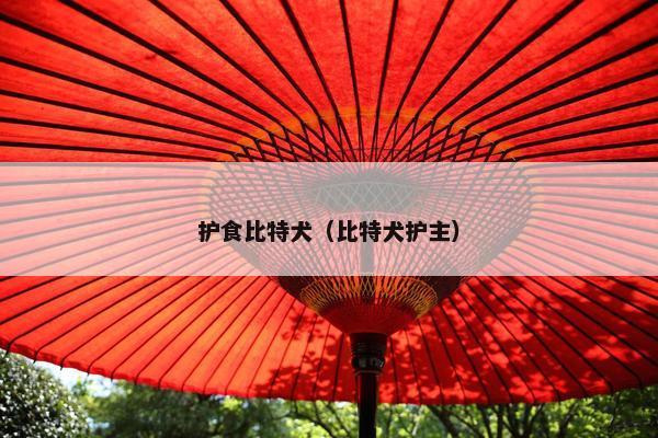 护食比特犬（比特犬护主）