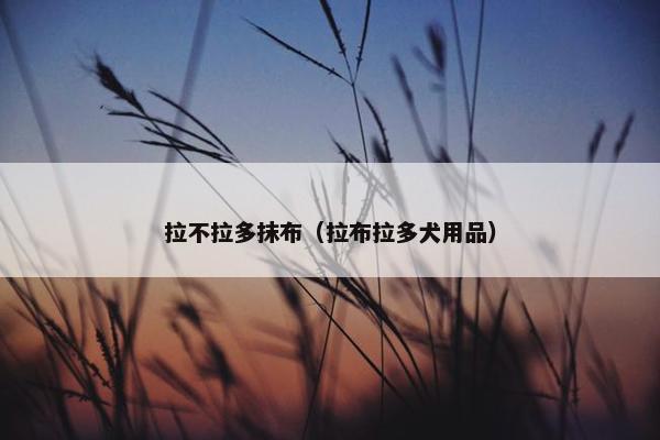拉不拉多抹布（拉布拉多犬用品）