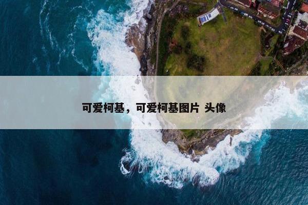 可爱柯基，可爱柯基图片 头像