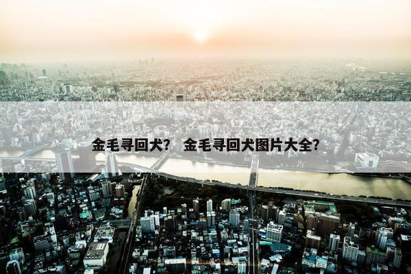 金毛寻回犬？ 金毛寻回犬图片大全？