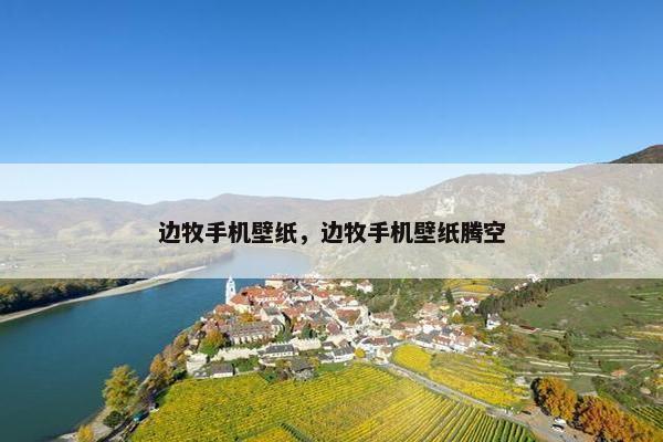 边牧手机壁纸，边牧手机壁纸腾空