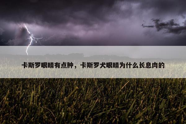 卡斯罗眼睛有点肿，卡斯罗犬眼睛为什么长息肉的