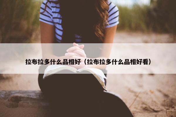 拉布拉多什么品相好（拉布拉多什么品相好看）