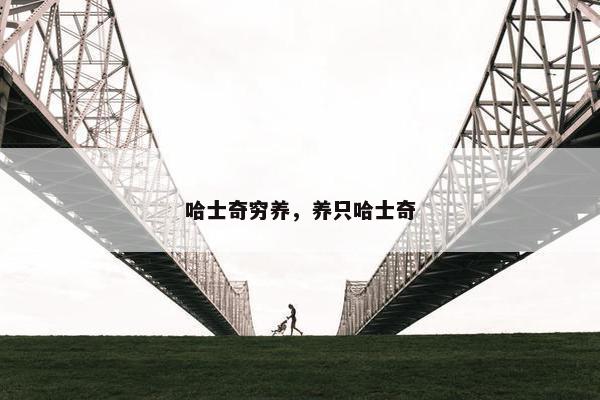哈士奇穷养，养只哈士奇