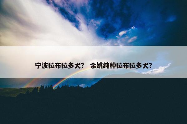宁波拉布拉多犬？ 余姚纯种拉布拉多犬？
