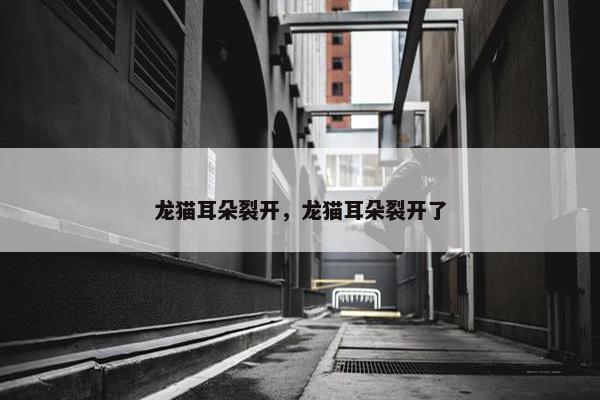 龙猫耳朵裂开，龙猫耳朵裂开了