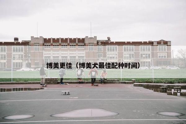 博美更佳（博美犬最佳配种时间）