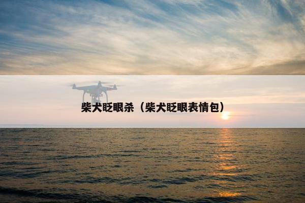 柴犬眨眼杀（柴犬眨眼表情包）