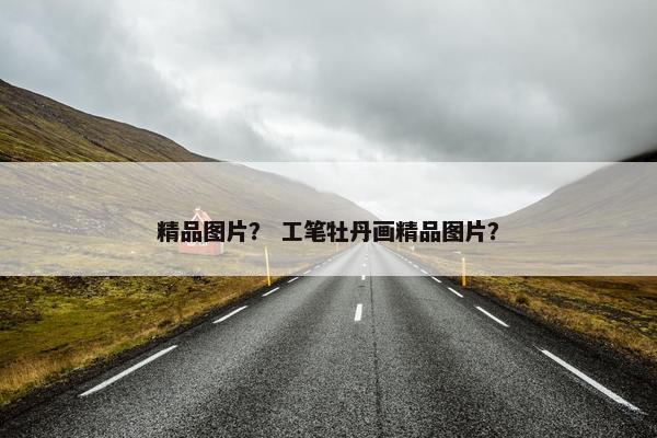 精品图片？ 工笔牡丹画精品图片？