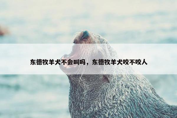 东德牧羊犬不会叫吗，东德牧羊犬咬不咬人