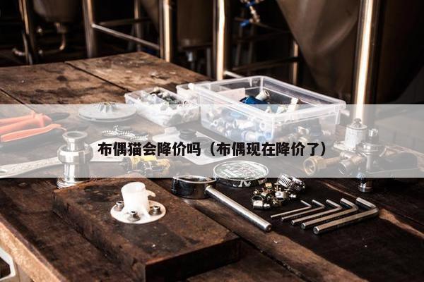布偶猫会降价吗（布偶现在降价了）