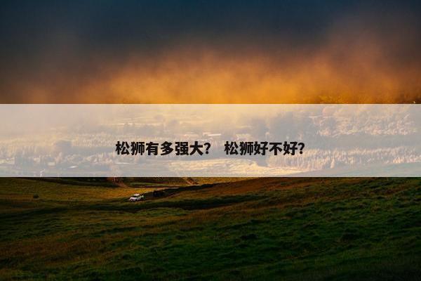 松狮有多强大？ 松狮好不好？