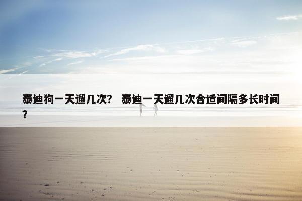 泰迪狗一天遛几次？ 泰迪一天遛几次合适间隔多长时间？