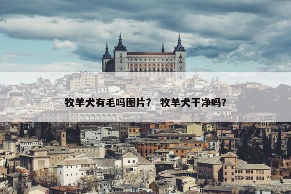 牧羊犬有毛吗图片？ 牧羊犬干净吗？