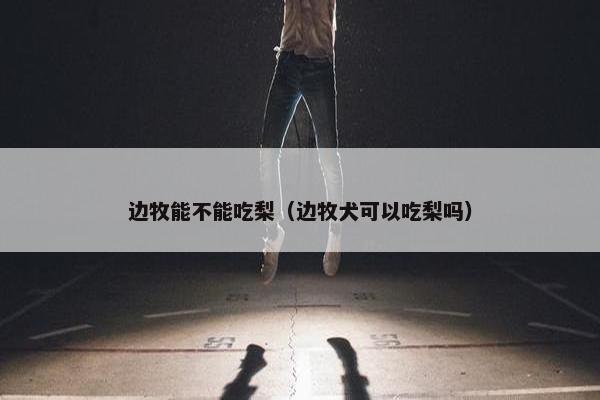 边牧能不能吃梨（边牧犬可以吃梨吗）
