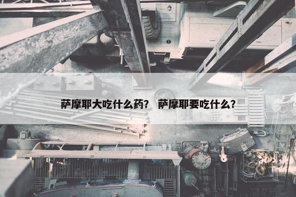 萨摩耶大吃什么药？ 萨摩耶要吃什么？