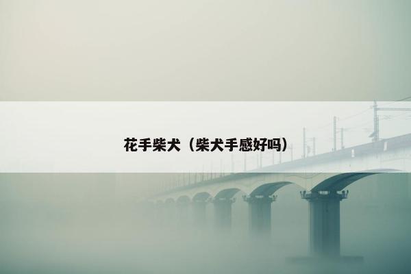 花手柴犬（柴犬手感好吗）