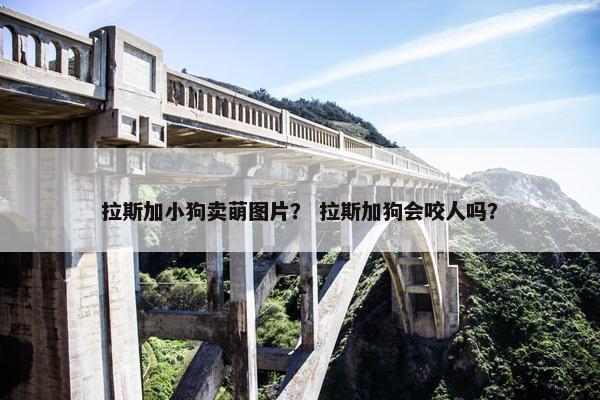 拉斯加小狗卖萌图片？ 拉斯加狗会咬人吗？