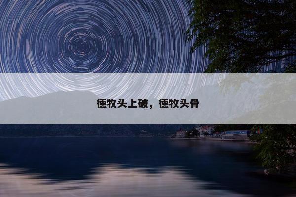 德牧头上破，德牧头骨