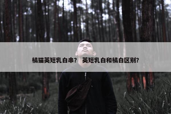 橘猫英短乳白串？ 英短乳白和橘白区别？