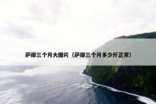 萨摩三个月大图片（萨摩三个月多少斤正常）