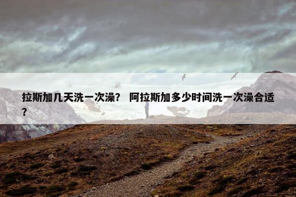 拉斯加几天洗一次澡？ 阿拉斯加多少时间洗一次澡合适？