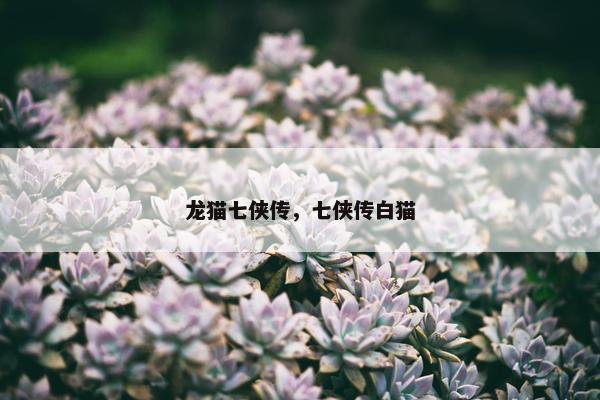 龙猫七侠传，七侠传白猫