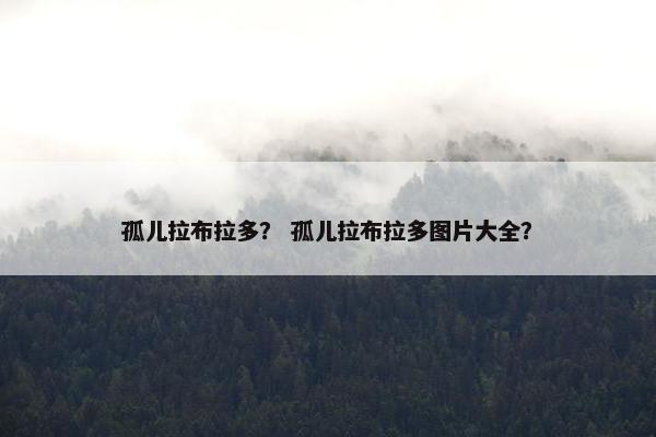 孤儿拉布拉多？ 孤儿拉布拉多图片大全？