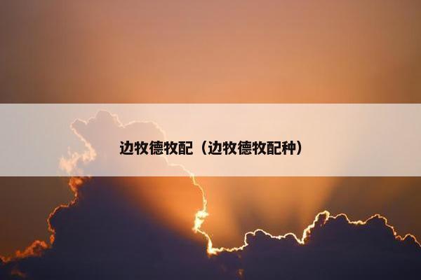 边牧德牧配（边牧德牧配种）