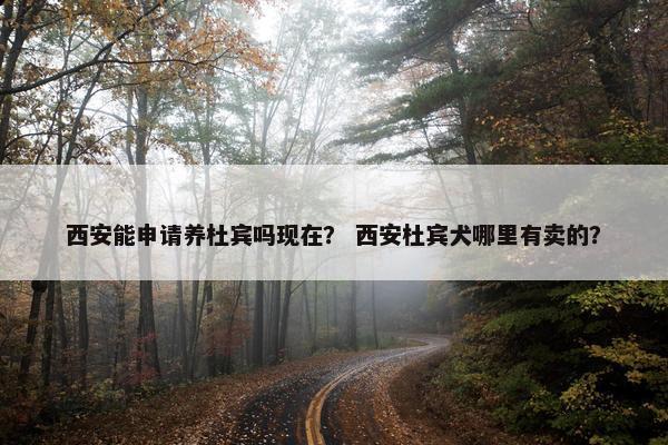 西安能申请养杜宾吗现在？ 西安杜宾犬哪里有卖的？