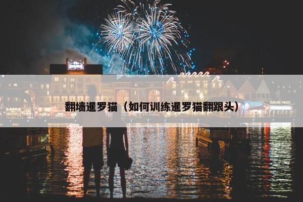 翻墙暹罗猫（如何训练暹罗猫翻跟头）