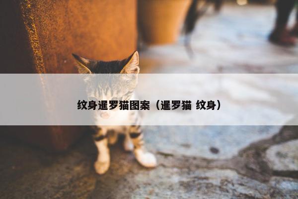 纹身暹罗猫图案（暹罗猫 纹身）