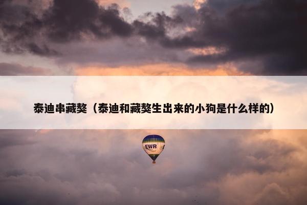 泰迪串藏獒（泰迪和藏獒生出来的小狗是什么样的）