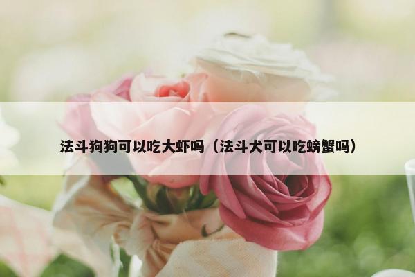 法斗狗狗可以吃大虾吗（法斗犬可以吃螃蟹吗）