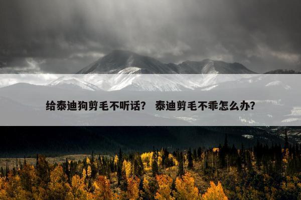 给泰迪狗剪毛不听话？ 泰迪剪毛不乖怎么办？