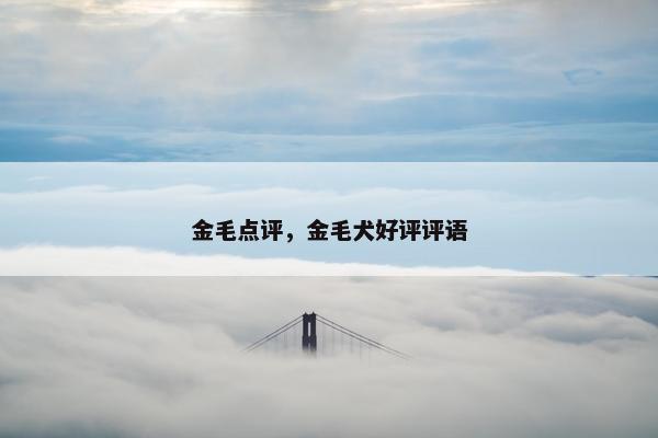 金毛点评，金毛犬好评评语