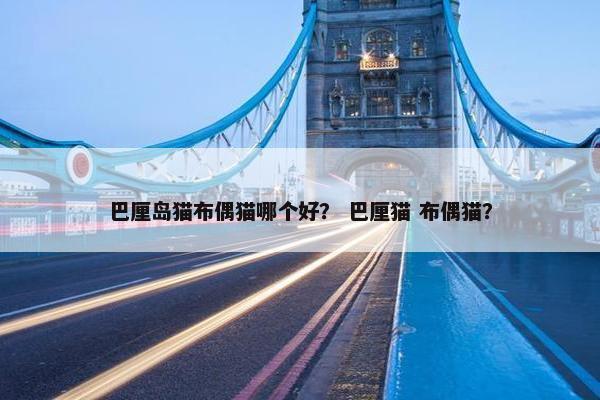 巴厘岛猫布偶猫哪个好？ 巴厘猫 布偶猫？