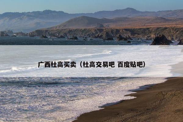 广西杜高买卖（杜高交易吧 百度贴吧）