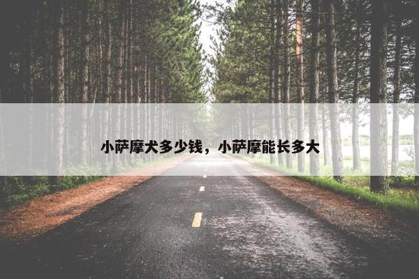 小萨摩犬多少钱，小萨摩能长多大