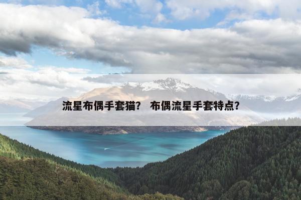 流星布偶手套猫？ 布偶流星手套特点？
