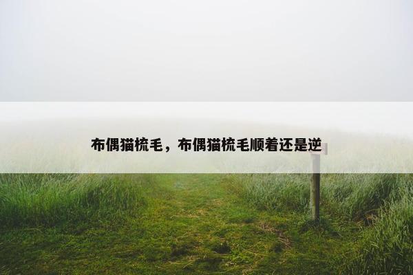 布偶猫梳毛，布偶猫梳毛顺着还是逆