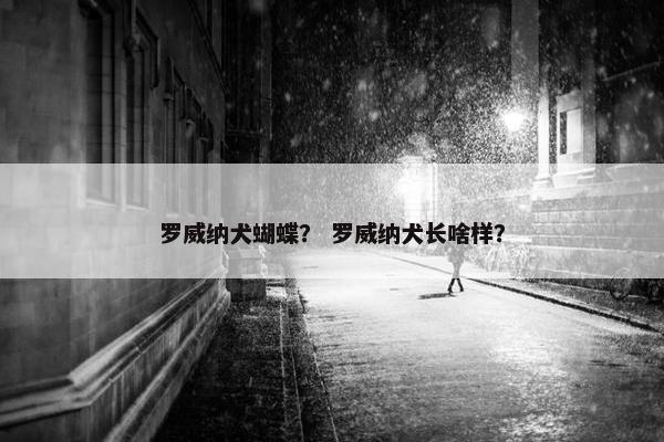 罗威纳犬蝴蝶？ 罗威纳犬长啥样？