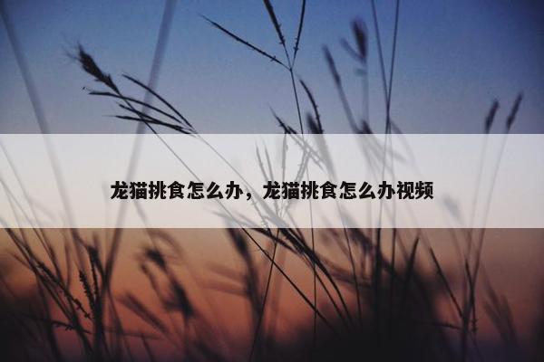 龙猫挑食怎么办，龙猫挑食怎么办视频