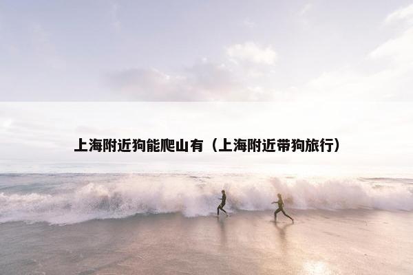 上海附近狗能爬山有（上海附近带狗旅行）