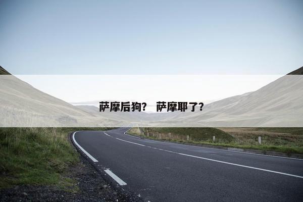萨摩后狗？ 萨摩耶了？