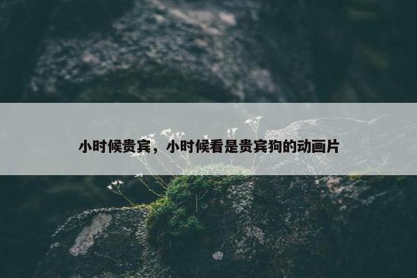 小时候贵宾，小时候看是贵宾狗的动画片