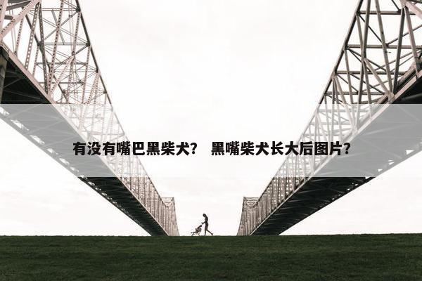 有没有嘴巴黑柴犬？ 黑嘴柴犬长大后图片？