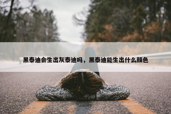 黑泰迪会生出灰泰迪吗，黑泰迪能生出什么颜色