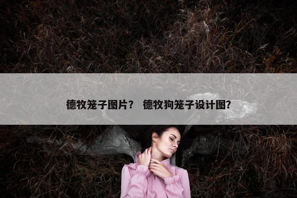 德牧笼子图片？ 德牧狗笼子设计图？